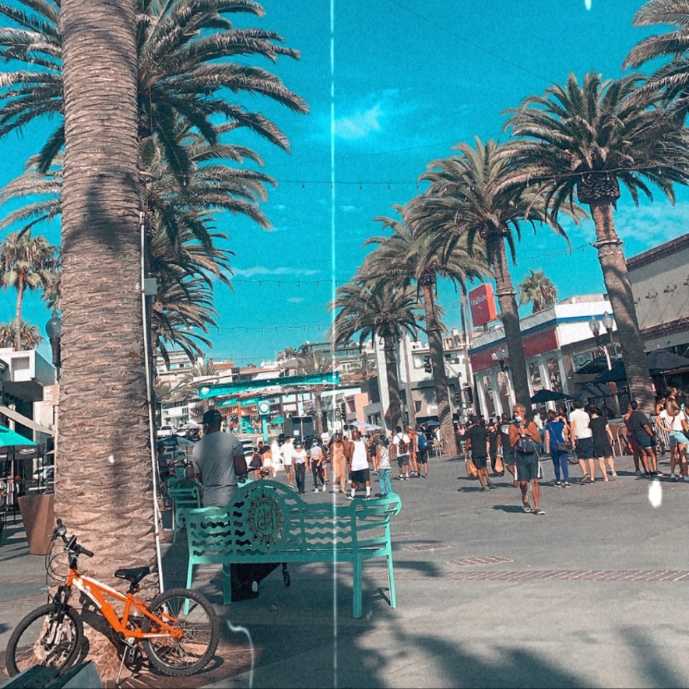 Meet your Posher, Susanna